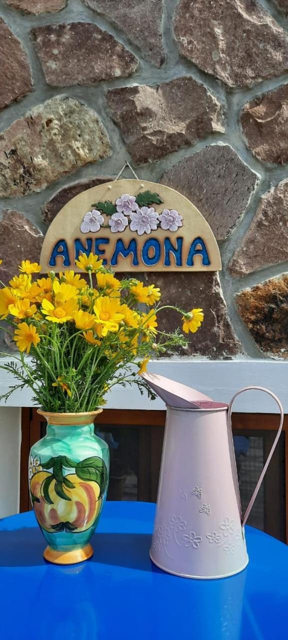 Anemona Apartment Mithymna Exterior photo